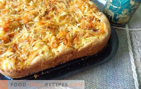 Fillet pie with cabbage in mayonnaise - baking in minutes. The best recipes for jellied pie with cabbage in mayonnaise