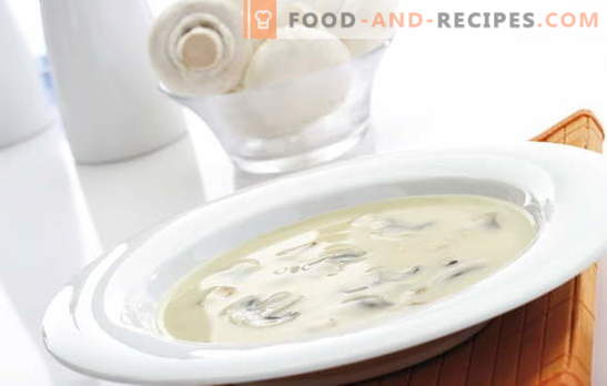 Champignon cream soup is a complex but affordable dish for every taste. Mushroom cream soup with different variations of the base