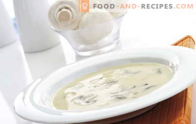 Champignon cream soup is a complex but affordable dish for every taste. Mushroom cream soup with different variations of the base