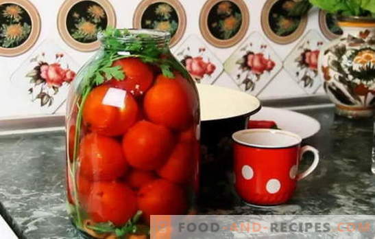The best recipes for tomatoes under the capron cover. How to prepare tomatoes under the capron cover: tips from experienced hostesses
