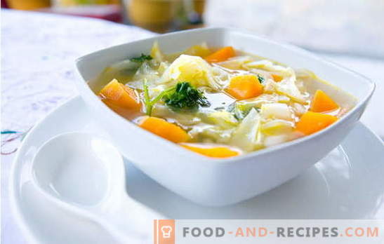Vegetable soup - a dish with an army of vitamins! Simple recipes of vegetable soups with dumplings, millet, beans, cheese, chicken