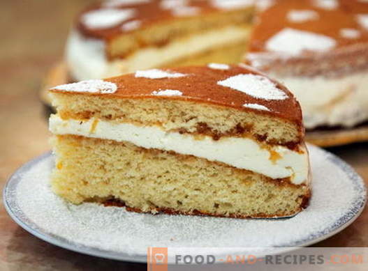 Sponge cake - the best recipes. How to properly and tasty cook sponge cake.
