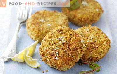 Proven recipes for pike fish cutlets: with bacon, cottage cheese, sauce. Fish pike cakes - for an encore!
