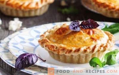 Adyghe cheese pie - tender aromatic pastries. Recipes open and closed pies with Adyghe cheese