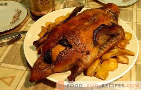 Duck with prunes - a dish for real gourmets. Cooking duck with prunes according to different recipes on the stove, in the slow cooker and in the oven