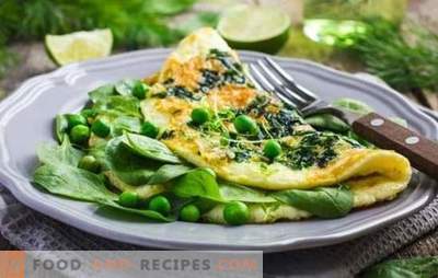Diet omelette is a godsend for adepts of healthy eating. Recipes diet omelet steamed, in the oven, slow cooker, microwave