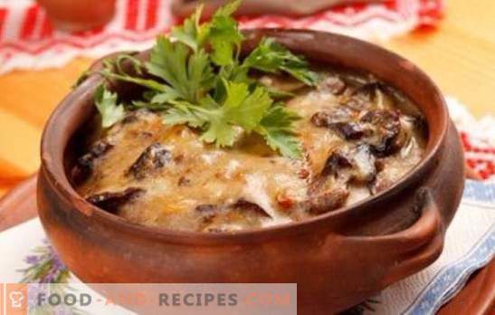 Potatoes with mushrooms in a pot - for everyday life and holidays! Different recipes for potatoes with mushrooms in pots