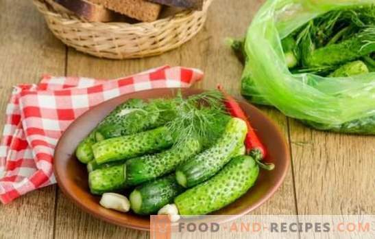 Pickled cucumbers: quick recipes with and without pickle. In a jar, bag, pot - freshly salted cucumbers for quick recipes