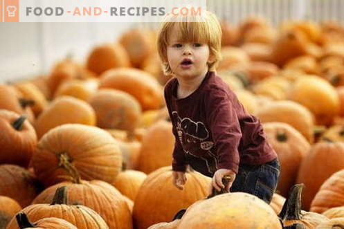 Pumpkin puree for children - the best recipes. How to properly and tasty baby pumpkin puree.