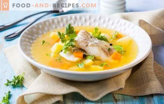 Ear of sterlet - incomparable taste and aroma of fish soup. How to cook a tasty fish soup from sterlet