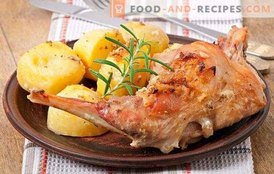 Dishes from the rabbit: quick recipe is an affordable delicacy. Dishes from the rabbit - quick recipes for tasty and tender meat