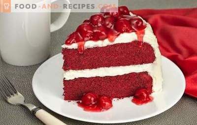 Red Velvet Cake is a bright, tasty treat. The best recipes of the famous cake 