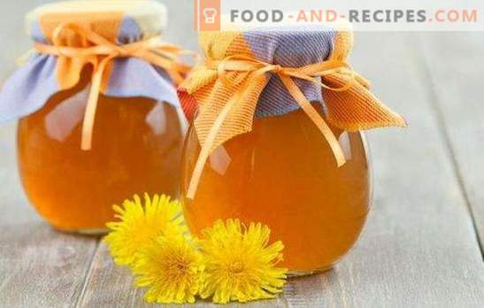 Dandelion syrup - preparation of vitamins! Recipes useful syrup from dandelions with sugar and lemon, spices, ginger, honey