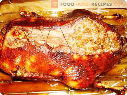 Duck in the sleeve - the best recipes. How to properly and tasty cook a duck in the sleeve.