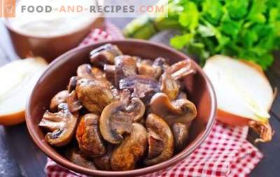 Champignons with onions - the world of mushroom fantasies! Baked and roasted champignons with onions in a griddle, in the oven