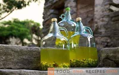 Taste and quality features of fruit raw materials for homemade gooseberry wine. Technology gooseberry wine recipes from pros