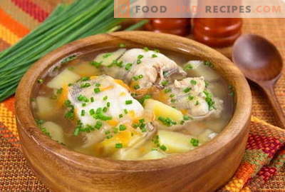Fischsuppe - die besten Rezepte. Wie man richtig und lecker Fischsuppe kocht.