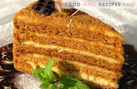 Ryzhik cake - the best recipes. How to properly and tasty cook cake Ginger.