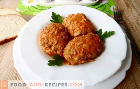 Lazy cabbage rolls: it's easy to cook with minced meat! Technology cooking lazy cabbage rolls with minced pork, chicken, veal