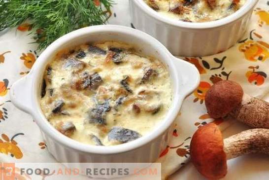 Chicken with mushrooms in a pot in the oven - tender meat with a mushroom flavor. Recipe chicken with mushrooms in pots for every taste