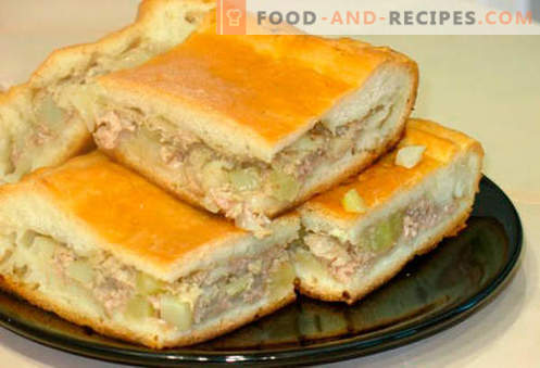 Kulebyaka with meat - the best recipes. How to properly and tasty cook meat pie with meat.