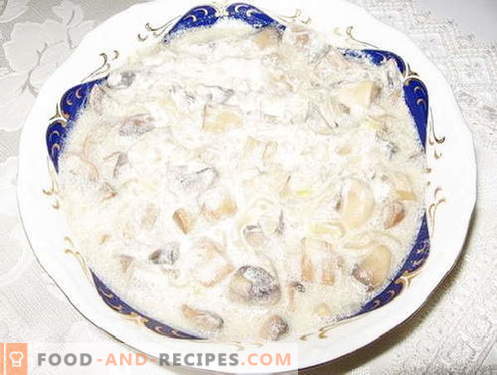 Champignons - the best recipes. How to cook mushrooms and tasty.
