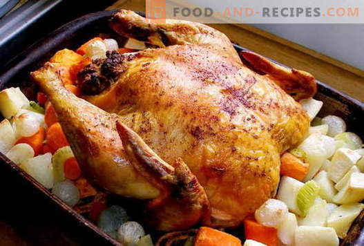 Chicken in the oven - the best recipes. How to cook chicken in the oven.