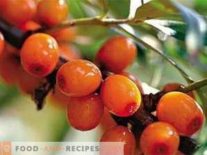 How to make sea buckthorn oil