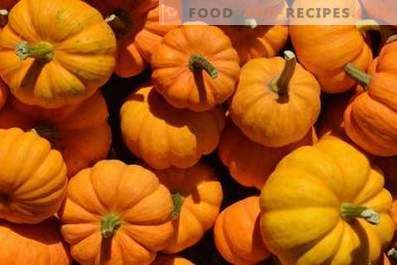 Pumpkin: benefits and harm to the body