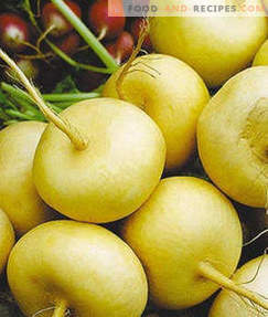Turnip: health benefits and harm