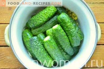 Savory salted cucumbers in the pan