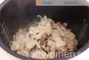 Meat with onions in a multicooker