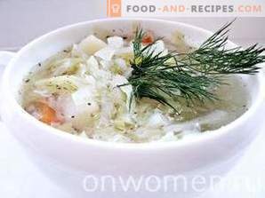 Fresh cabbage soup with chicken