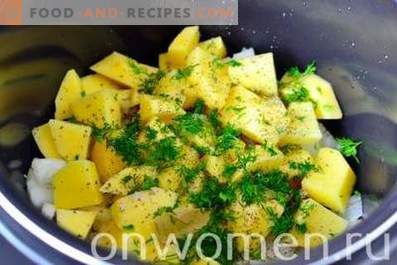 Beef stewed with potatoes in a slow cooker