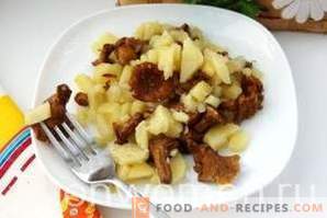 Potatoes fried with chanterelles in a slow cooker