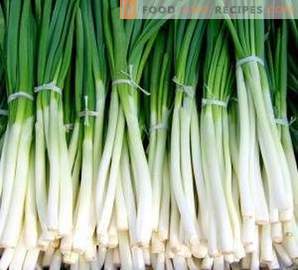 How to freeze green onions for the winter