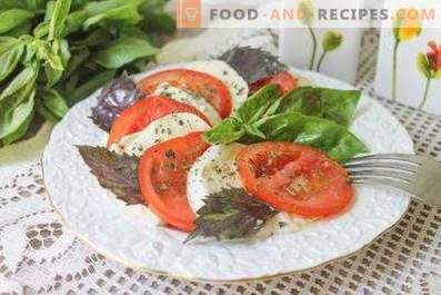 Salads with mozzarella and tomatoes
