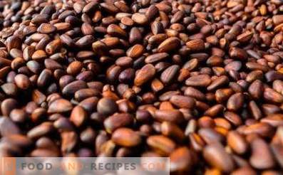Pine nuts: beneficial properties and contraindications