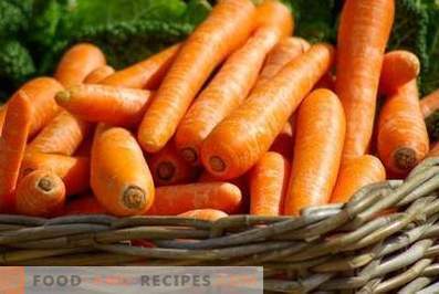 Cenouras: benefícios e danos ao corpo