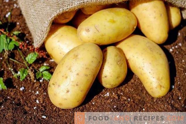 Review of inexpensive means for preseeding preparation of potatoes for diseases and pests