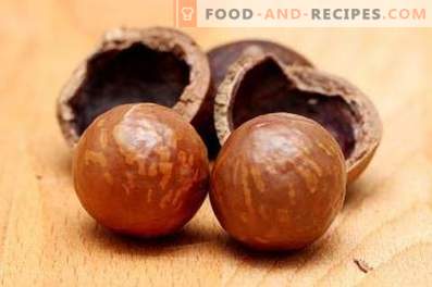 Macadamia Nut: Benefit and Harm