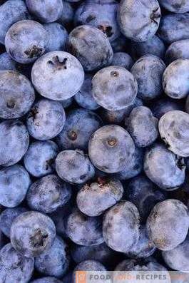 How to store blueberries