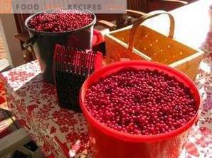 How to store lingonberry