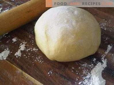 Dough for ravioli in bread maker