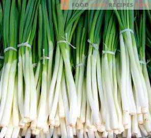 How to store green onions