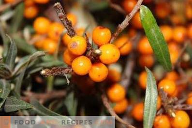How to store sea buckthorn
