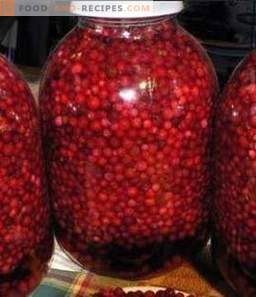 Wet cowberries for the winter