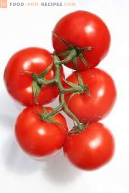 Tomatoes: benefits and harm to the body