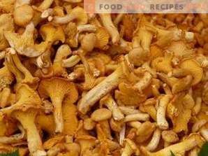 How to freeze chanterelles for the winter