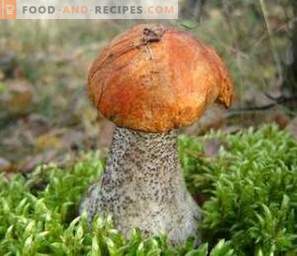 How to clean aspen mushrooms